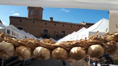 Garlic Day in Falces
